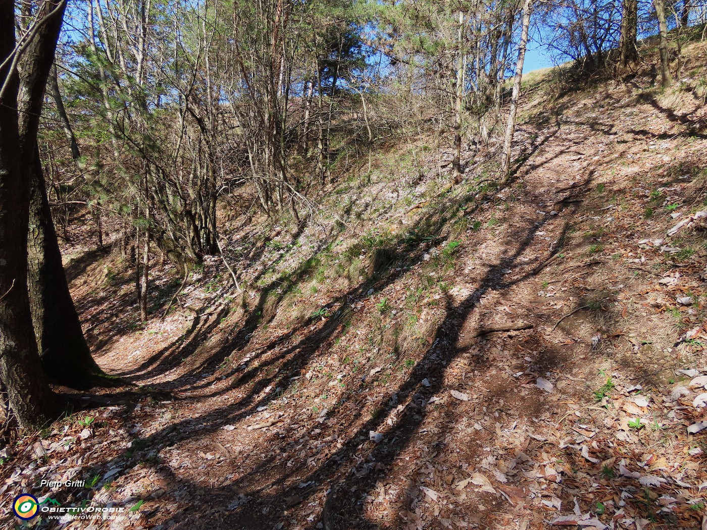 40  Lascio il sent. 594 che scende a sx  e salgo a dx alla linea tagliafuoco.JPG